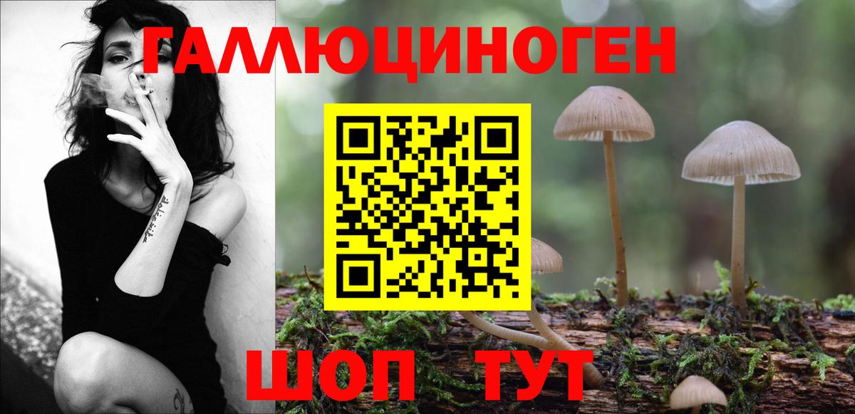 Россия  Галлюциногенные грибы Psilocybe  Галлюциногенные грибы Cubensis  Вход с VPN 